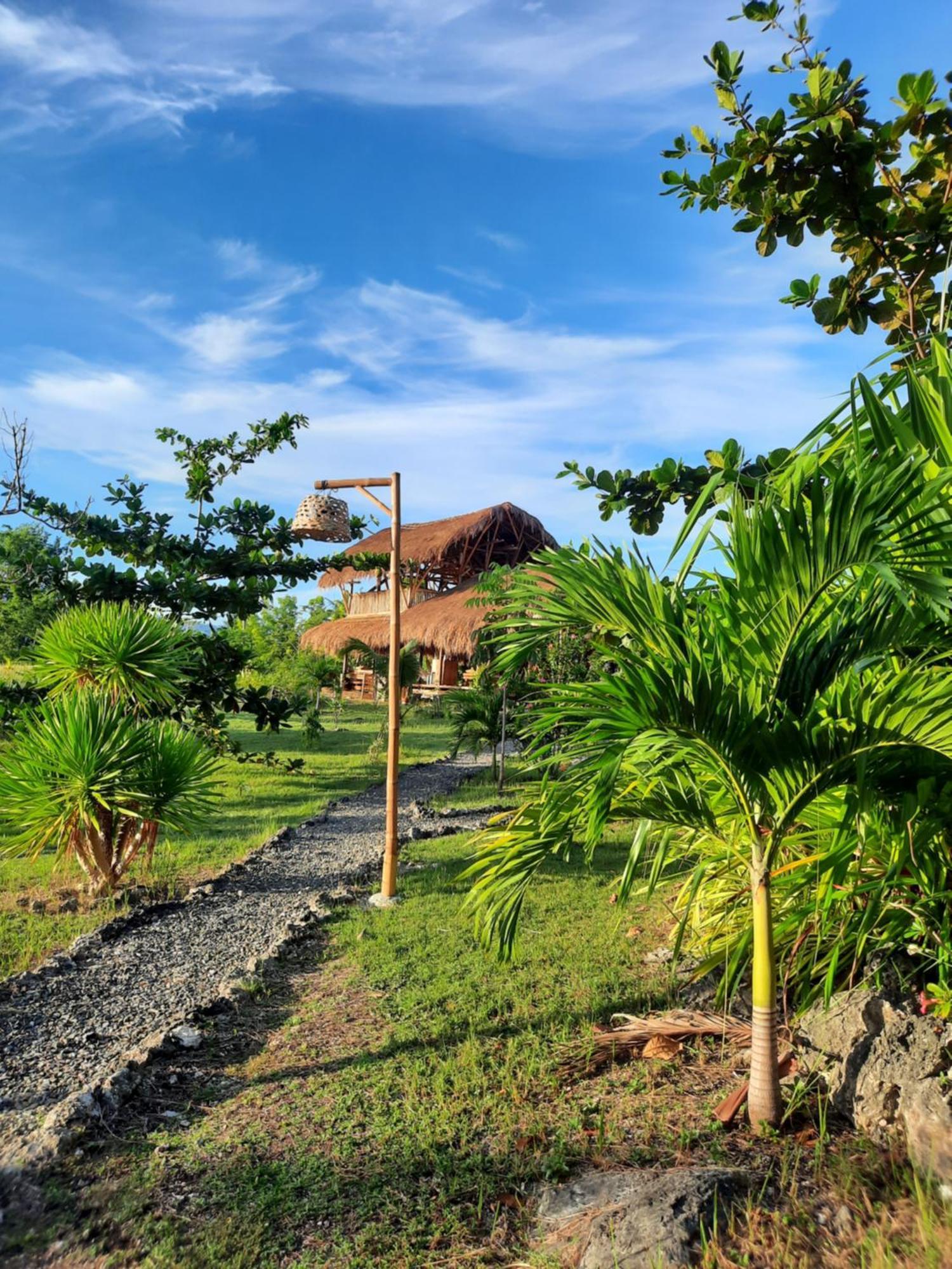 Tongo Hill Cottages 莫阿尔博阿 外观 照片