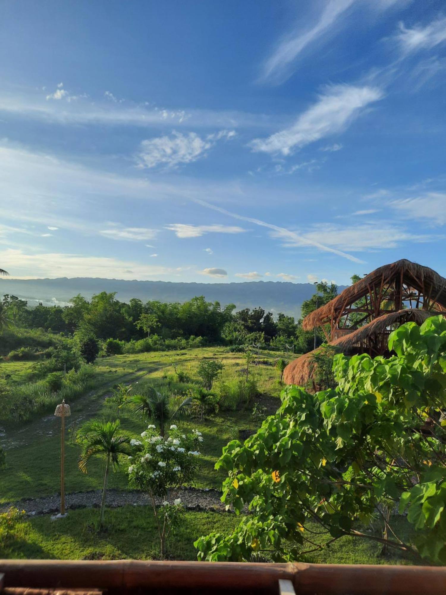 Tongo Hill Cottages 莫阿尔博阿 外观 照片