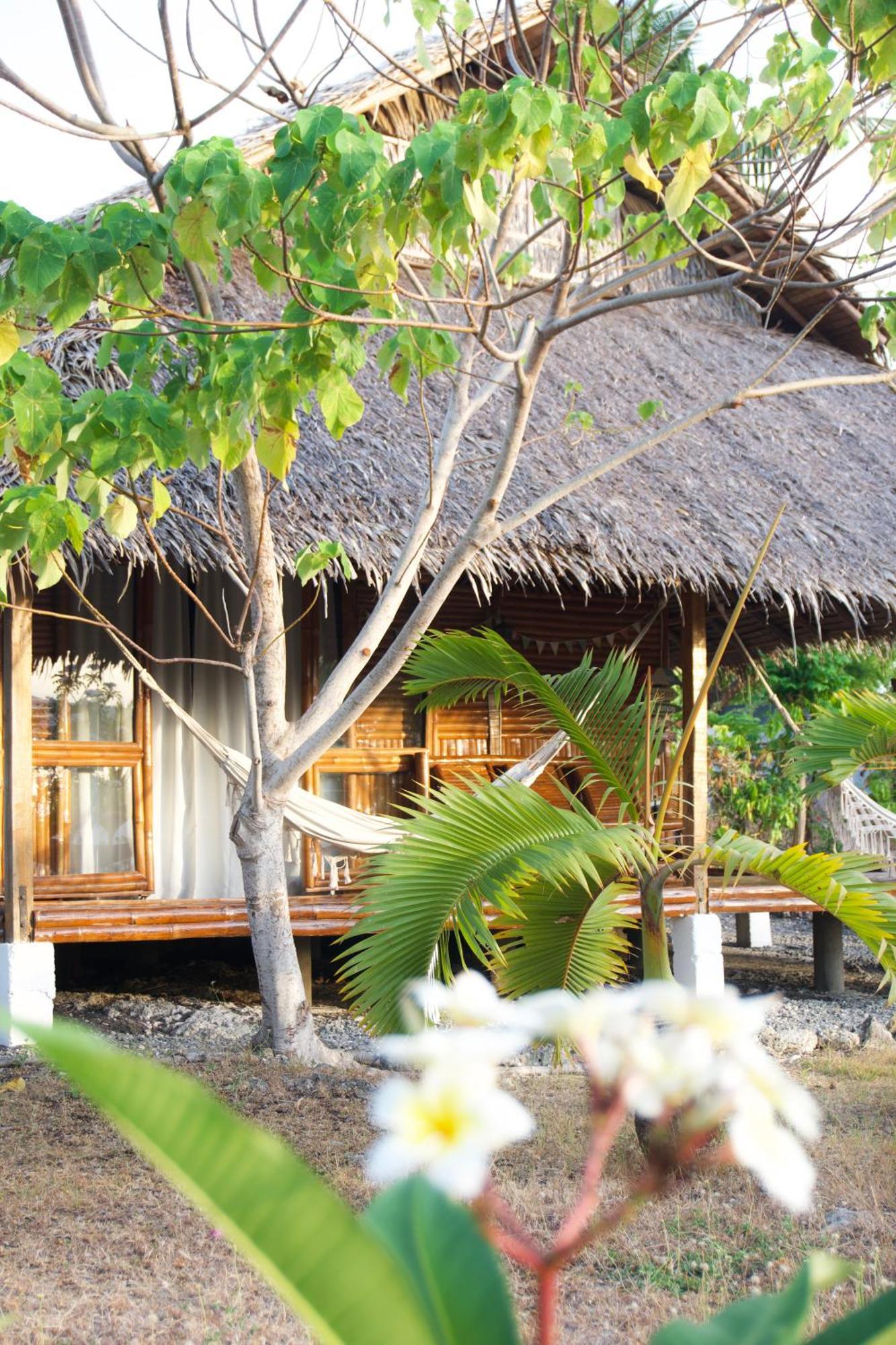 Tongo Hill Cottages 莫阿尔博阿 外观 照片