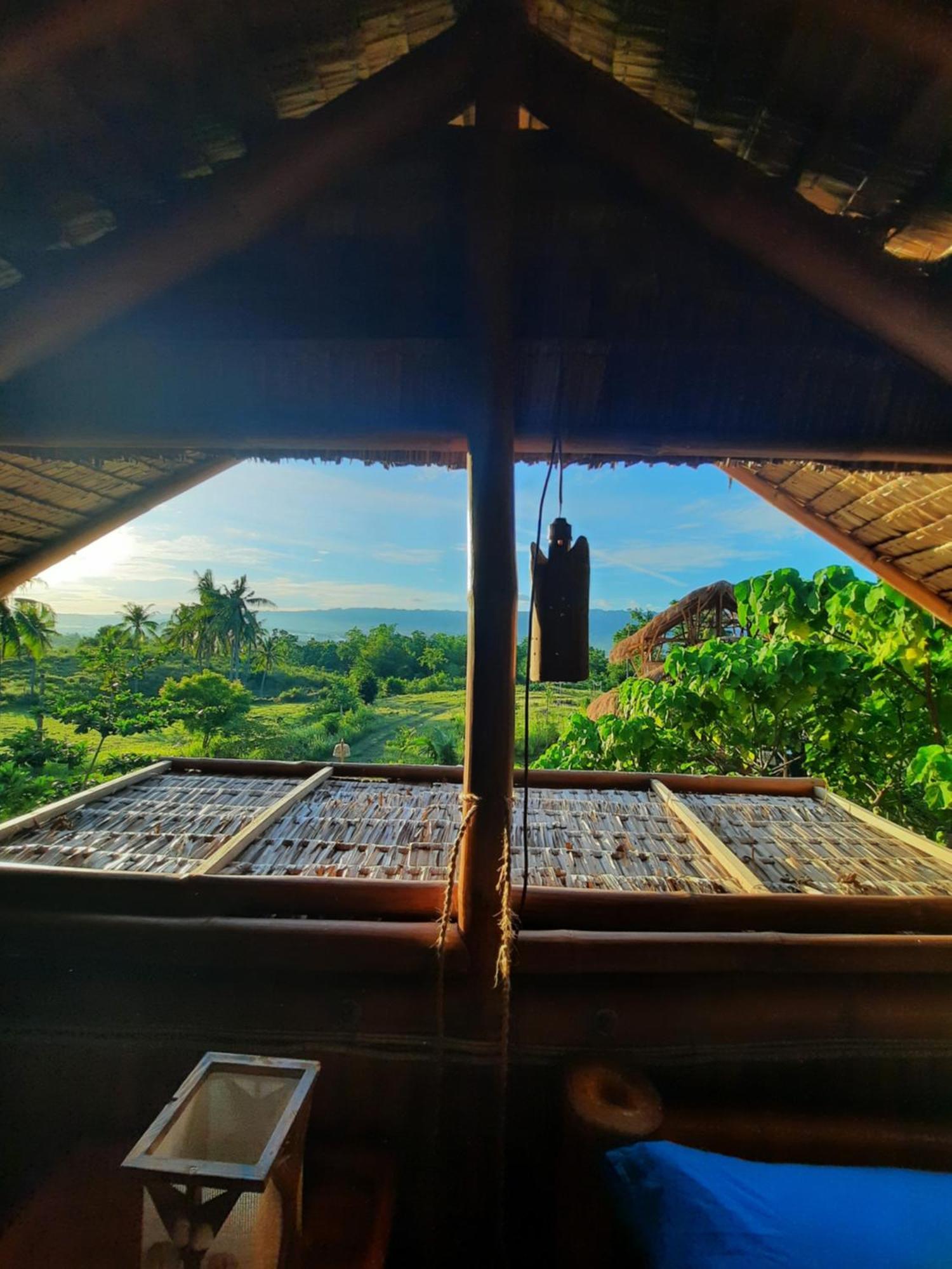 Tongo Hill Cottages 莫阿尔博阿 外观 照片
