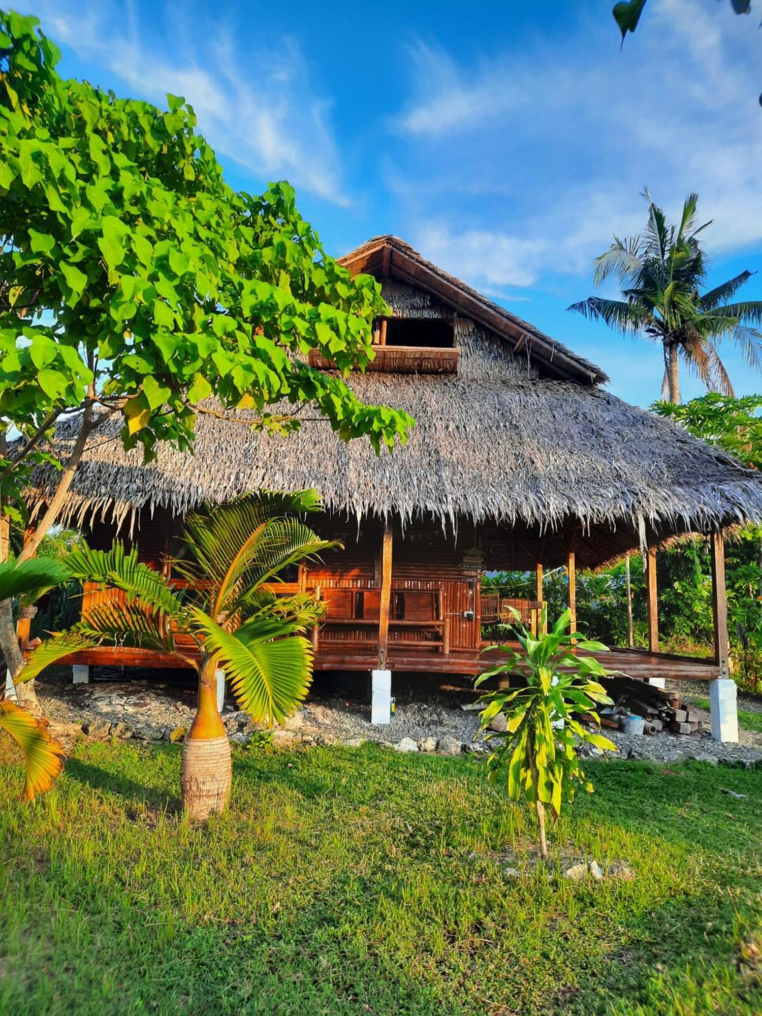Tongo Hill Cottages 莫阿尔博阿 外观 照片